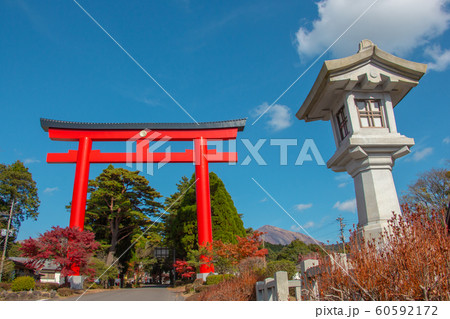 霧島神宮の大鳥居 塗装したての霧島神宮の鳥居 霧島神宮 霧島神宮の大鳥居 塗装したての霧島神宮の鳥居 霧島神宮 60592172