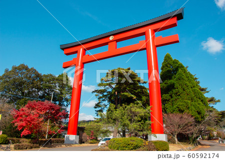 霧島神宮の大鳥居　塗装したての霧島神宮の鳥居　霧島神宮 60592174