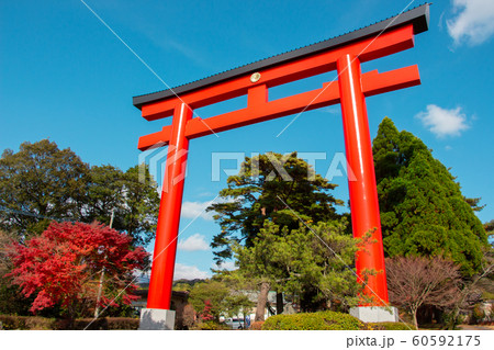 霧島神宮の大鳥居　塗装したての霧島神宮の鳥居　霧島神宮 60592175