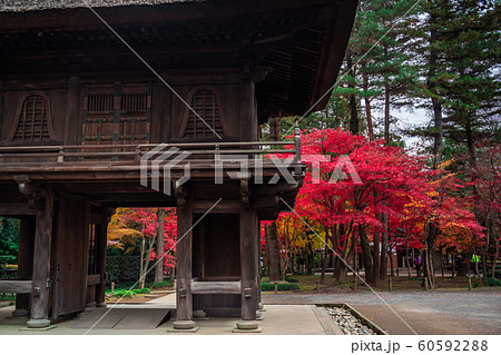 埼玉 秋のの平林寺 埼玉 秋のの平林寺 60592288