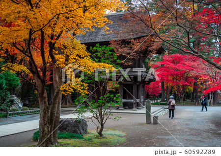 埼玉 秋のの平林寺 埼玉 秋のの平林寺 60592289