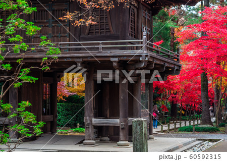 埼玉 秋のの平林寺 埼玉 秋のの平林寺 60592315