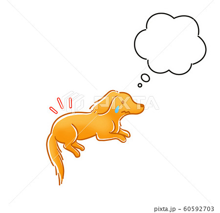 犬 痛い 考える 犬 痛い 考える 60592703