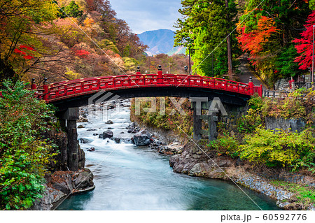 栃木　日光　神橋と紅葉 60592776