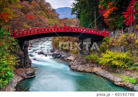 栃木　日光　神橋と紅葉 60592780