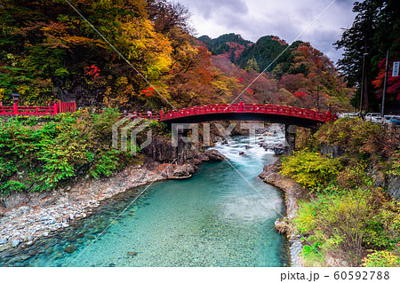 栃木　日光　神橋と紅葉 60592788