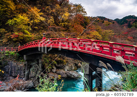 栃木　日光　神橋と紅葉 60592789