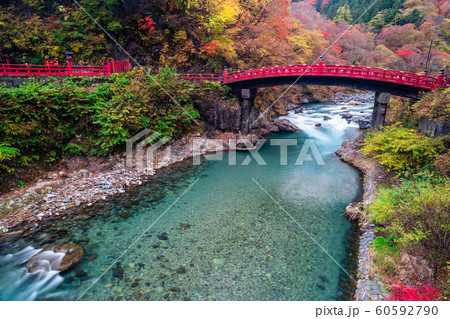 栃木　日光　神橋と紅葉 60592790