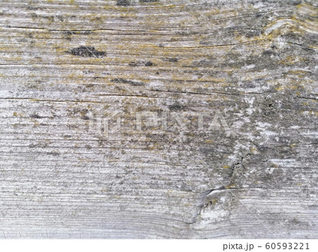 Wood background texture with knots and holes. 60593221