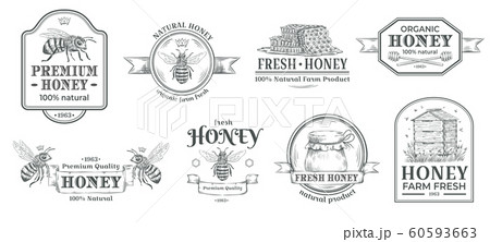 Honey farm badge. Beekeeping logo, retro bee badges and vintage hand drawn mead label vector illustration set 60593663