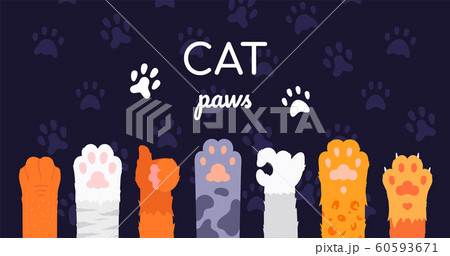 Cat paws collection - flat design style illustration 60593671
