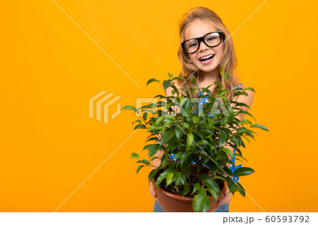 young girl in glasses holds a pot with a plant and a watering can on an orange background young girl in glasses holds a pot with a plant and a watering can on an orange background 60593792