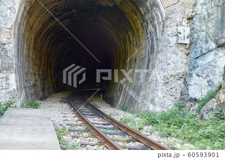 Track through a tunnel Track through a tunnel 60593901