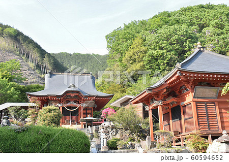 栃木県鹿沼市 常楽寺録事尊 栃木県鹿沼市 常楽寺録事尊 60594652