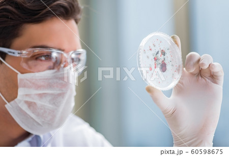 Male doctor working in the lab on virus vaccine Male doctor working in the lab on virus vaccine 60598675