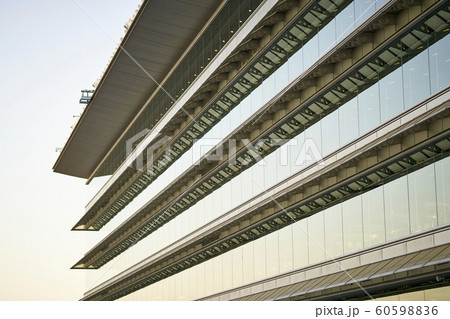 阪神競馬場の景色 60598836