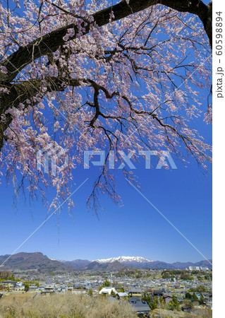 枝垂れ桜と武尊山(縦) 枝垂れ桜と武尊山(縦) 60598894