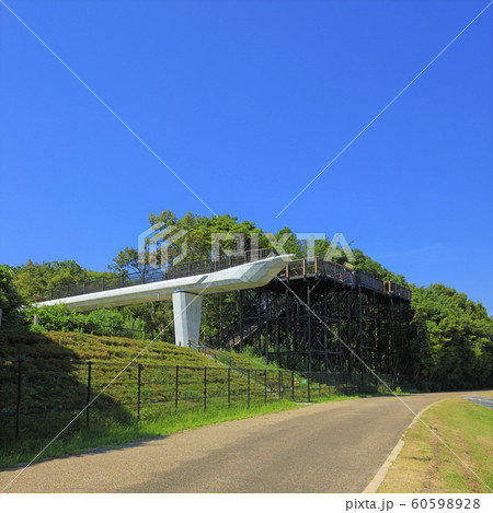 琵琶湖博物館　樹冠トレイル 60598928