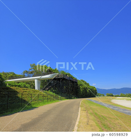 琵琶湖博物館　樹冠トレイル 60598929