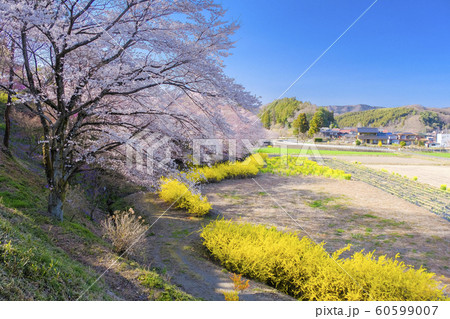 春の花咲く里 春の花咲く里 60599007