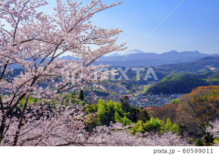 桜と山里と浅間山 60599011
