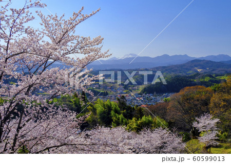 残雪の浅間山と山里 残雪の浅間山と山里 60599013