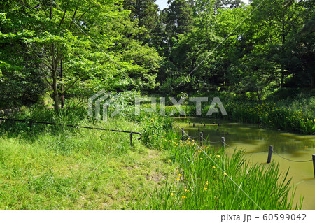 藤が丘公園 神奈川県横浜市青葉区藤が丘 藤が丘公園 神奈川県横浜市青葉区藤が丘 60599042