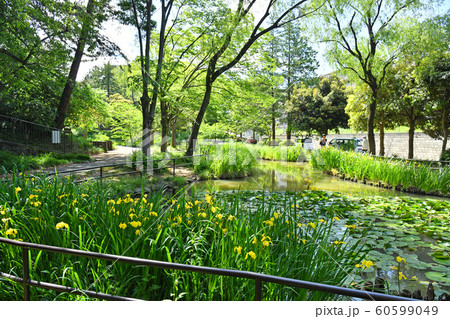 神奈川県横浜市青葉区藤が丘　藤が丘公園 60599049