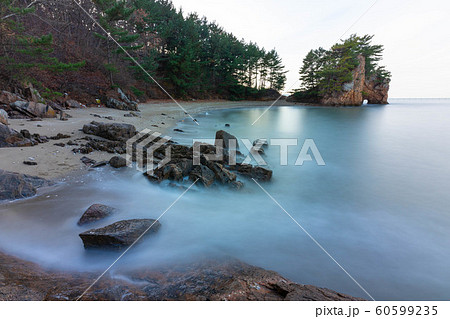 海 泰安 磯 60599235