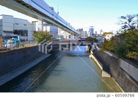 新堀橋より石神井川上流側の豊石橋を見る 新堀橋より石神井川上流側の豊石橋を見る 60599766