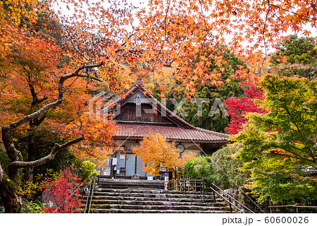 三重県 いなべ 紅葉の名所 聖宝寺の本堂 三重県 いなべ 紅葉の名所 聖宝寺の本堂 60600026