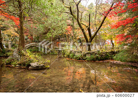 三重県　いなべ　紅葉の名所　聖宝寺の浄土池 60600027