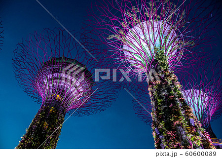 シンガポール　ガーデン・バイ・ザ・ベイの夜景　ライトアップ 60600089