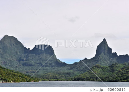 モーレア島の風景 モーレア島の風景 60600812