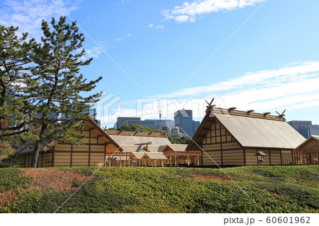 皇居、大嘗宮一般公開 皇居、大嘗宮一般公開 60601962