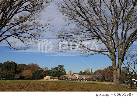 皇居、大嘗宮一般公開 60601987