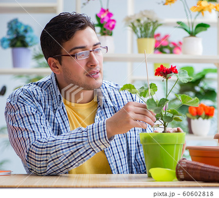 Young man florist working in a flower shop 60602818