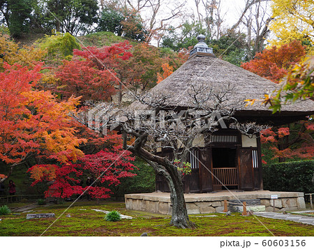 北鎌倉　長寿禅寺　観音堂 60603156