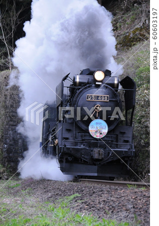 D51 498 蒸気機関車 D51 498 蒸気機関車 60603197