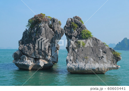 世界遺産ハロン湾 世界遺産ハロン湾 60603441