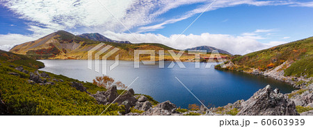 白馬大池 白馬大池 60603939