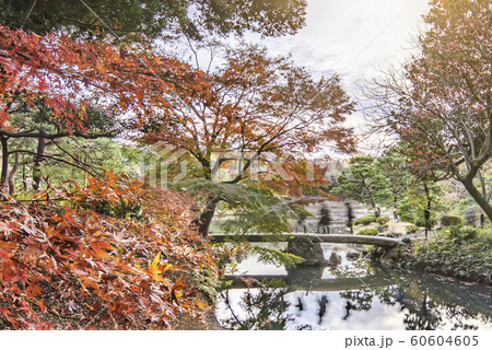 秋に駒込の六義園の芦部茶屋跡の前に通る蛛道から撮影した大泉水を渡る渡月橋。 秋に駒込の六義園の芦部茶屋跡の前に通る蛛道から撮影した大泉水を渡る渡月橋。 60604605