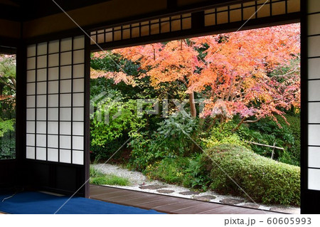 晩秋の丈山苑　詩泉閣 60605993