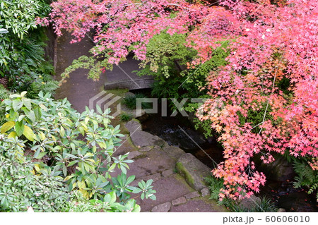 晩秋の丈山苑 詩泉閣 晩秋の丈山苑 詩泉閣 60606010