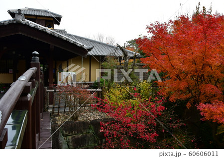 晩秋の丈山苑 詩泉閣 晩秋の丈山苑 詩泉閣 60606011