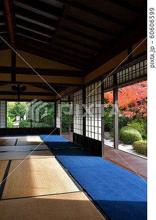 晩秋の丈山苑　詩泉閣 60606599