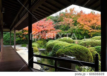 晩秋の丈山苑 詩泉閣 晩秋の丈山苑 詩泉閣 60606609