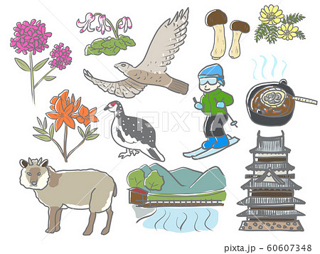 長野あれこれ　素材 60607348