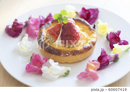 エディブルフラワー 食用花 花 エディブル タルト 料理 食べ物 フード カラフル エディブルフラワー 食用花 花 エディブル タルト 料理 食べ物 フード カラフル 60607419
