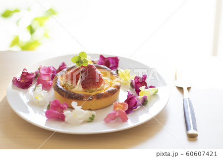 エディブルフラワー 食用花 花 エディブル タルト 料理 食べ物 フード カラフル エディブルフラワー 食用花 花 エディブル タルト 料理 食べ物 フード カラフル 60607421